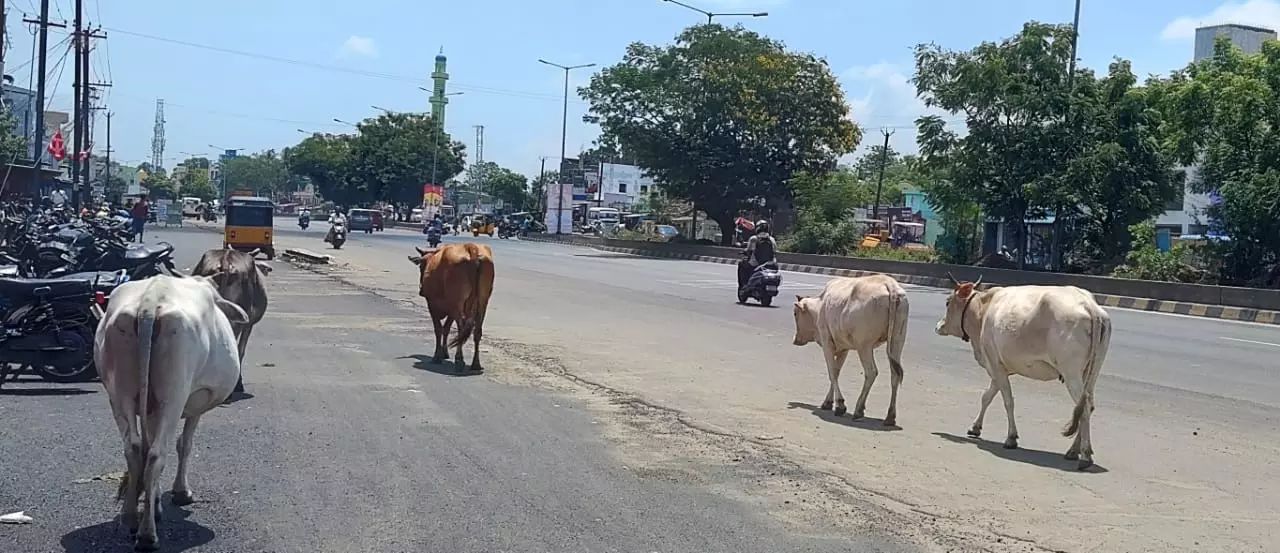போக்குவரத்துக்கு இடையூறு