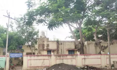 மரக்கிளைகளால் மின் கம்பிக்கு ஆபத்து மரக்கிளைகளால் மின் கம்பிக்கு ஆபத்து