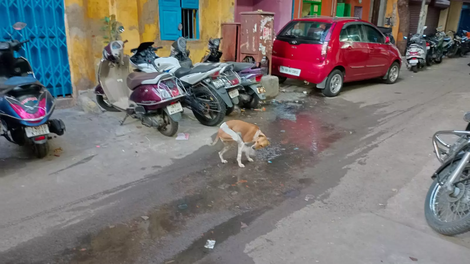 கழிவு நீர் கால்வாயில் பிரச்சினை கழிவு நீர் கால்வாயில் பிரச்சினை