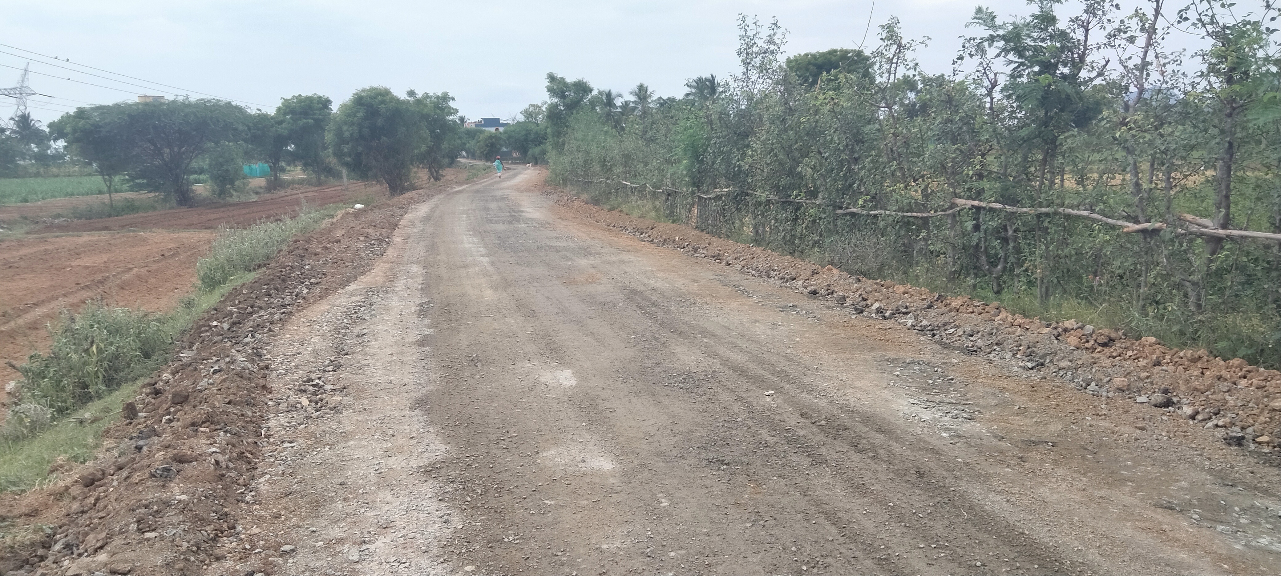 சாலை சீரமைப்பு தொடங்கியது