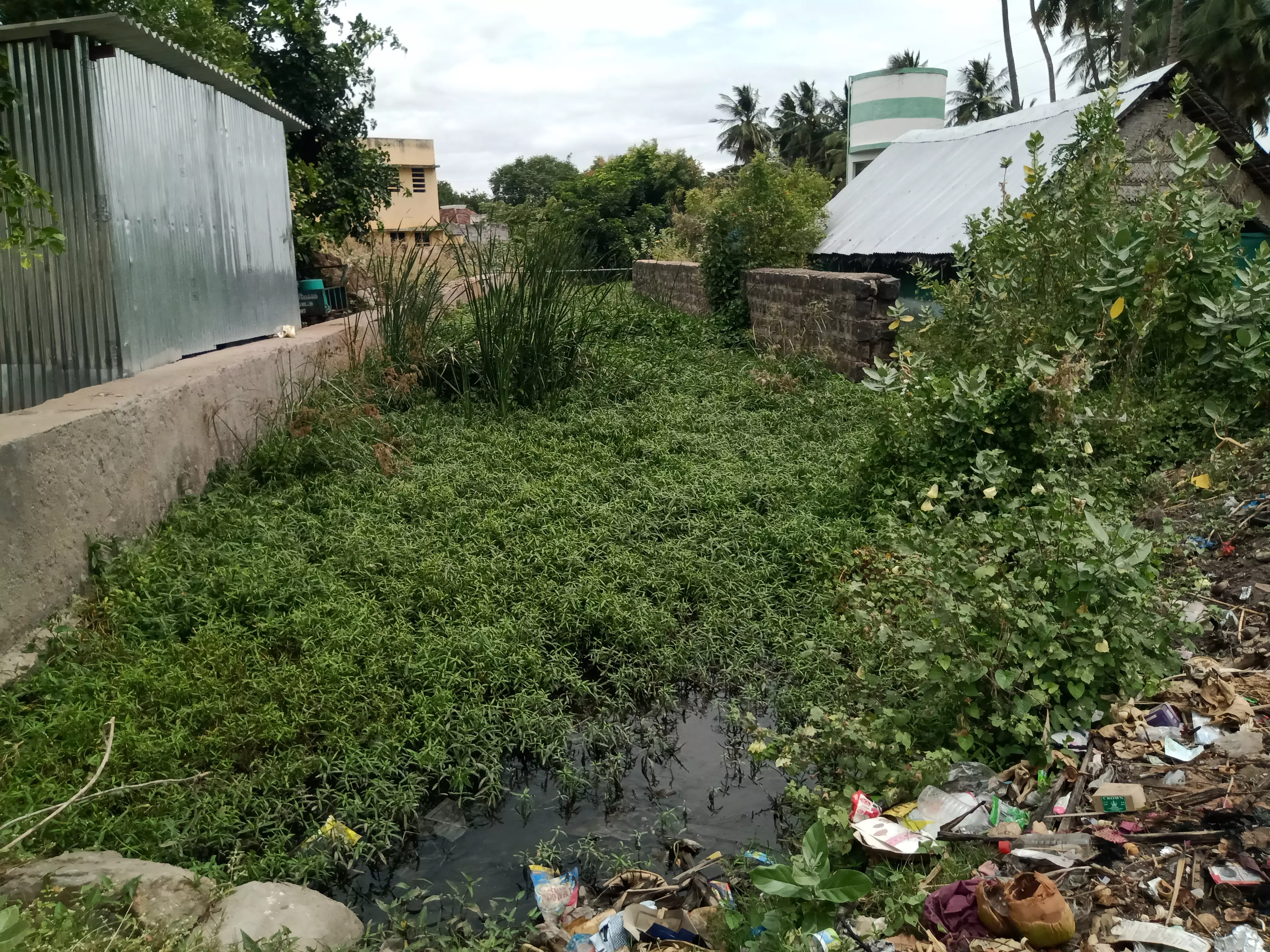 தூர்வாரப்படாத கழிவுநீர் கால்வாய்கள்