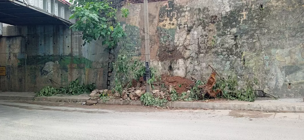 நடைபாதையின் அவல நிலை