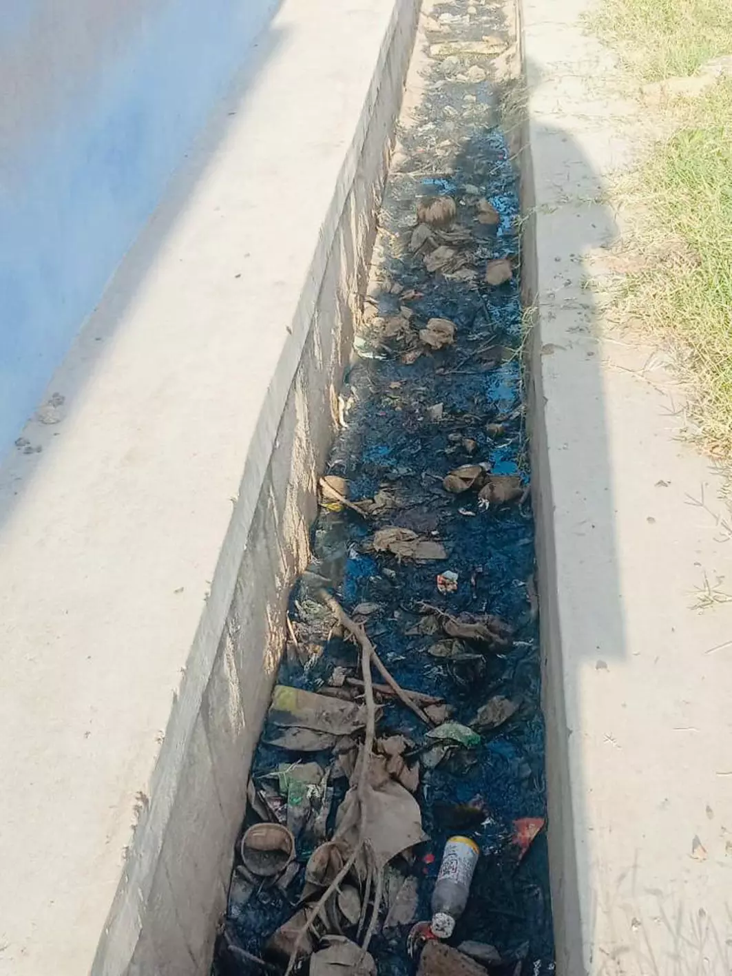 சாக்கடை கால்வாய் தூர்வாரப்படுமா?