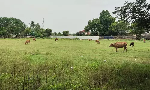 விளையாட்டு மைதானத்தை சுத்தம் ெசய்வாா்களா? விளையாட்டு மைதானத்தை சுத்தம் ெசய்வாா்களா?