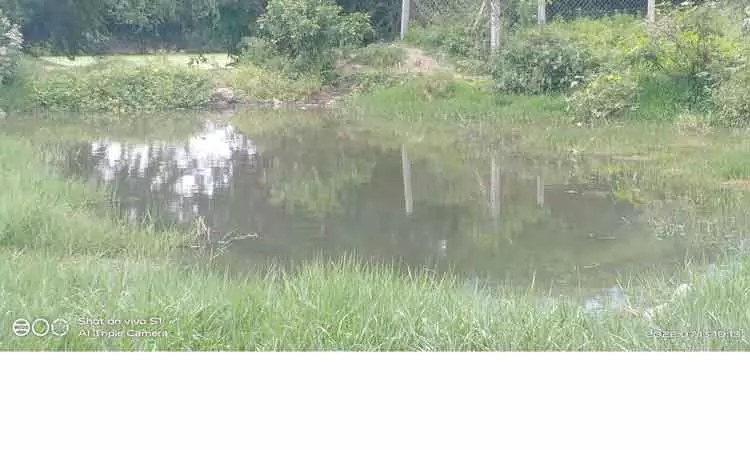 குட்டையை சுத்தம் செய்ய வேண்டும் குட்டையை சுத்தம் செய்ய வேண்டும்