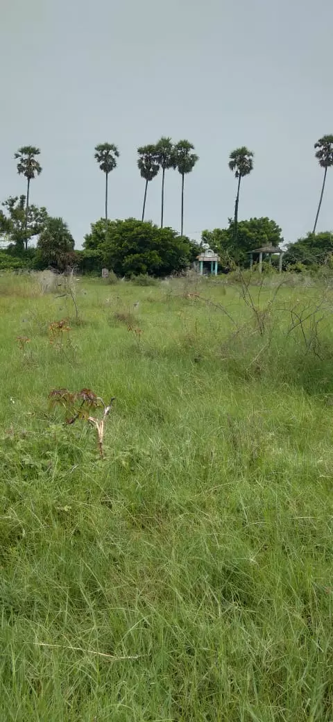 நடவடிக்கை எடுக்கப்படுமா ? நடவடிக்கை எடுக்கப்படுமா ?