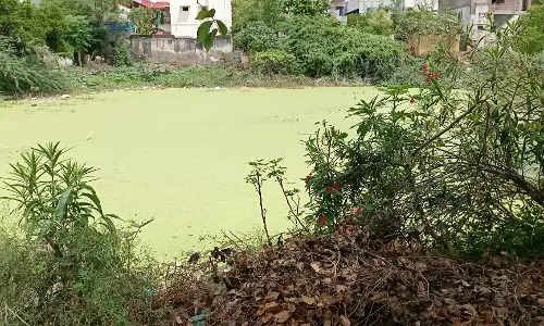 சுகாதாரமற்ற கோவில் குளம்