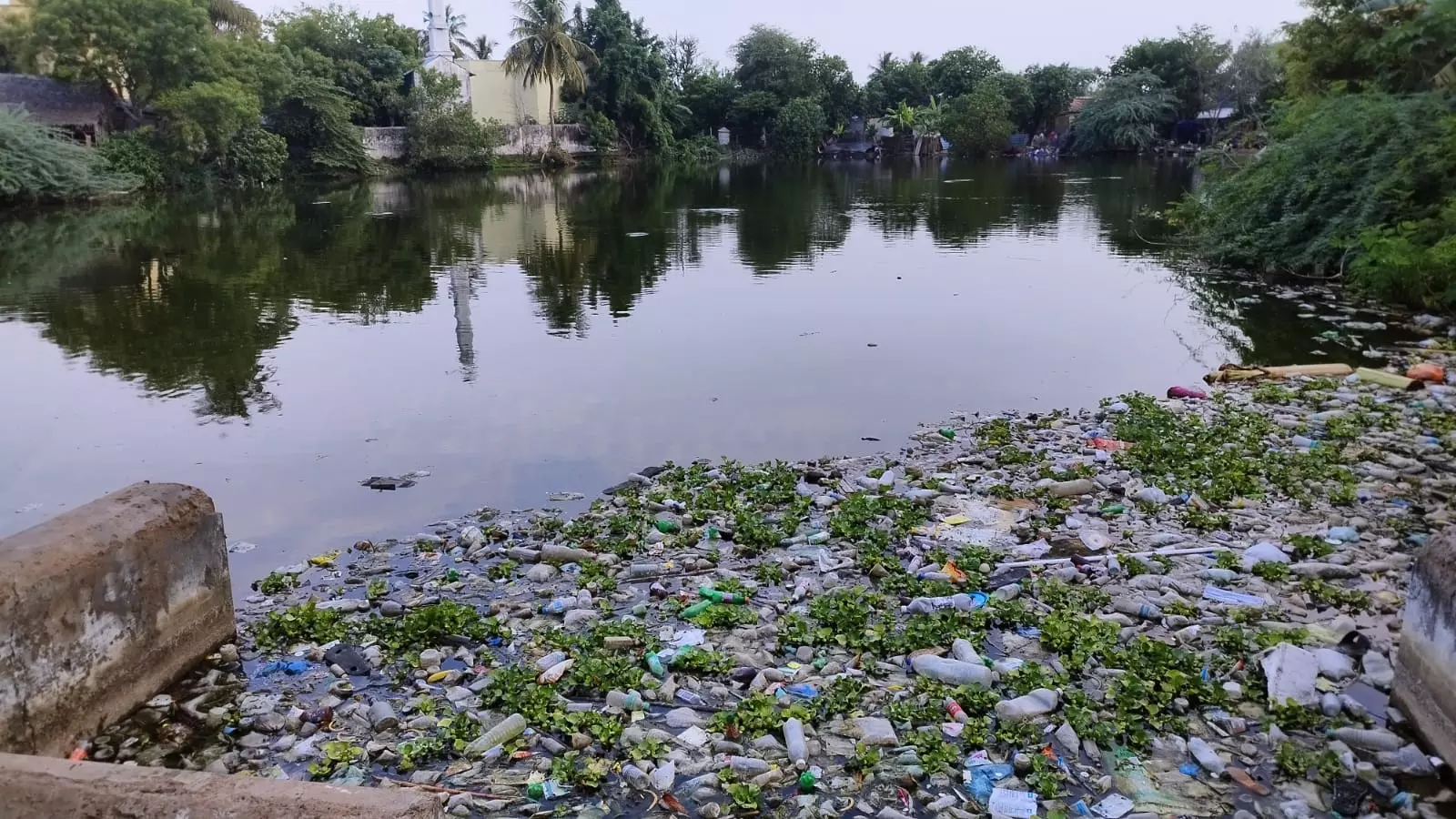 குளத்தில் கலக்கும் கழிவுநீர்