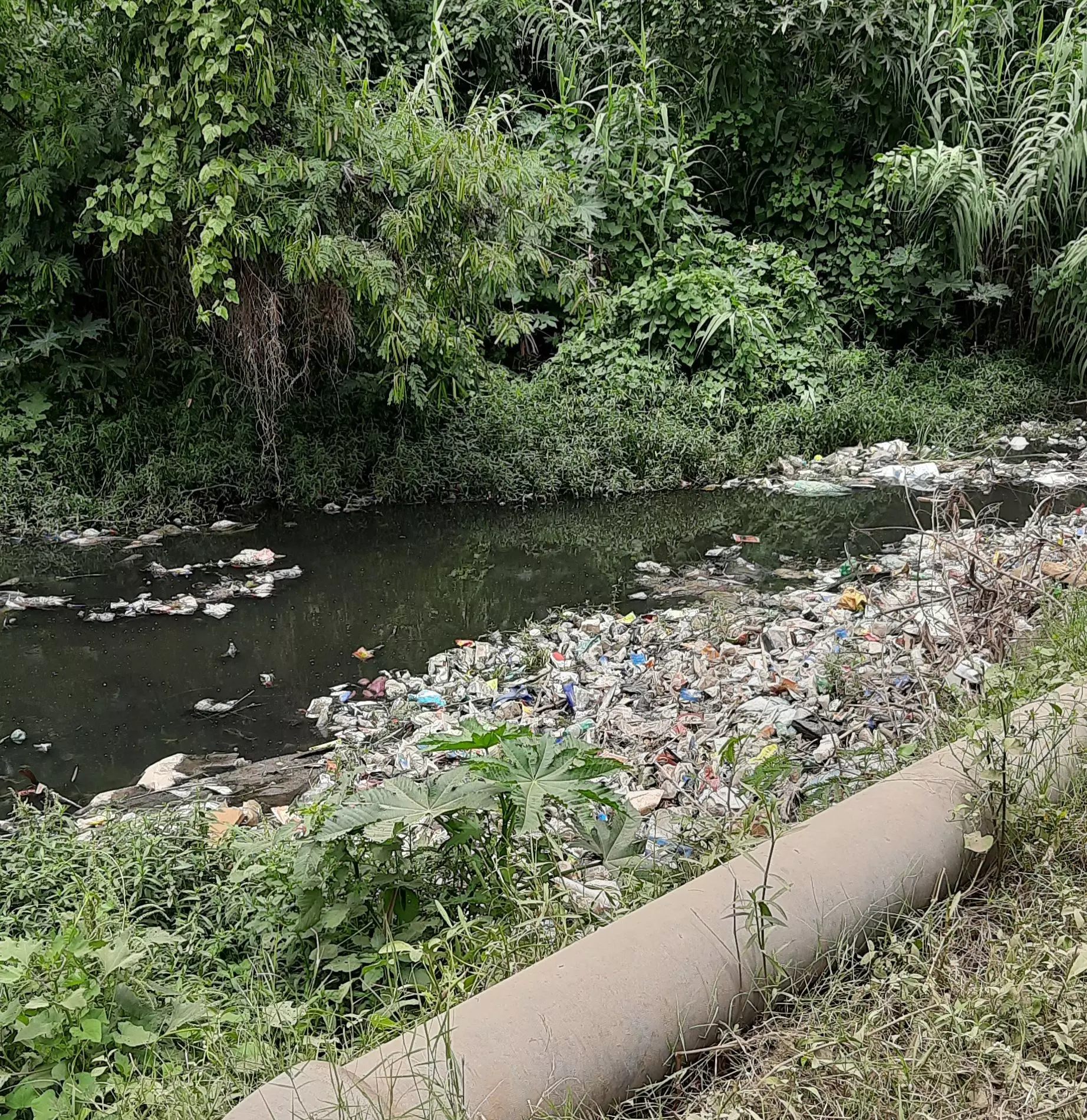 பிளாஸ்டிக் பொருட்களால் சுகாதார சீர்கேடு