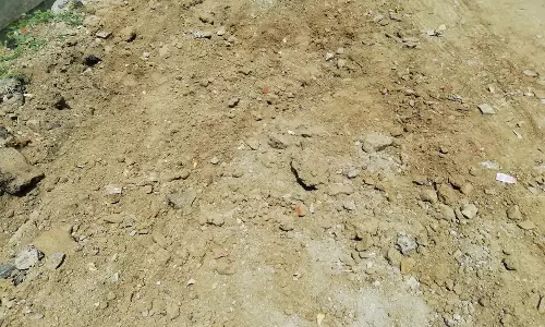 பாராட்டு