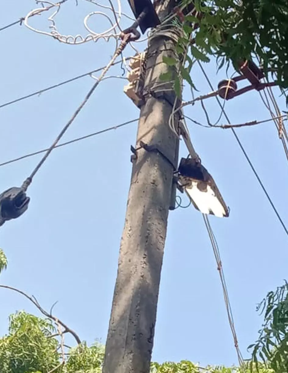 பகலில் ஒளிரும் தெருவிளக்குகள்