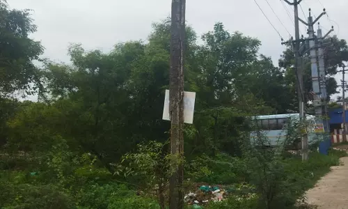 மின்கம்பத்தின் அவலம் மின்கம்பத்தின் அவலம்