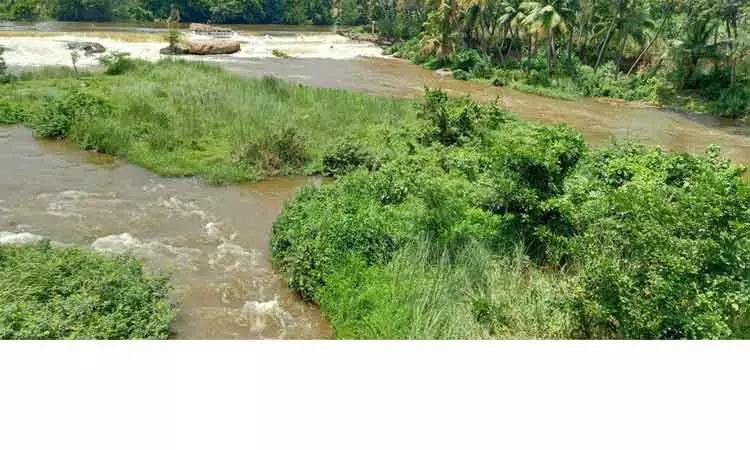 புதர்மண்டி கிடக்கும் தடுப்பணை புதர்மண்டி கிடக்கும் தடுப்பணை
