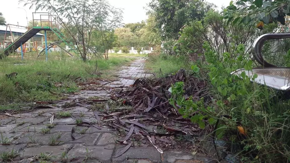 அம்மா பூங்கா சீரமைக்கப்படுமா? அம்மா பூங்கா சீரமைக்கப்படுமா?