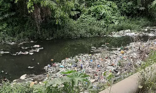 பிளாஸ்டிக் பொருட்களால் சுகாதார சீர்கேடு