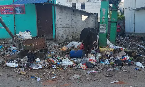 குப்ைபயில் கொட்டப்படும் இறைச்சி கழிவுகள்