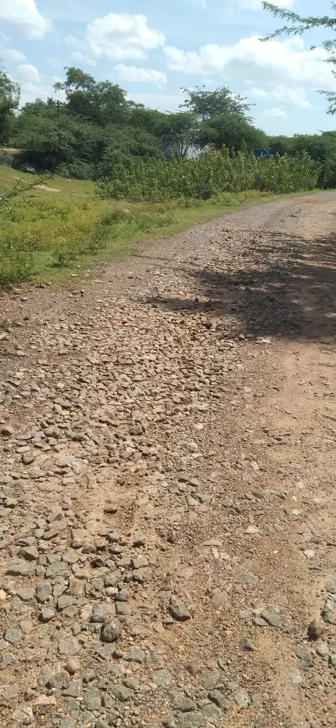 குண்டும், குழியுமான சாலை