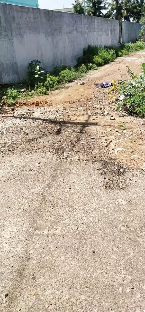 குண்டும், குழியுமான சாலை