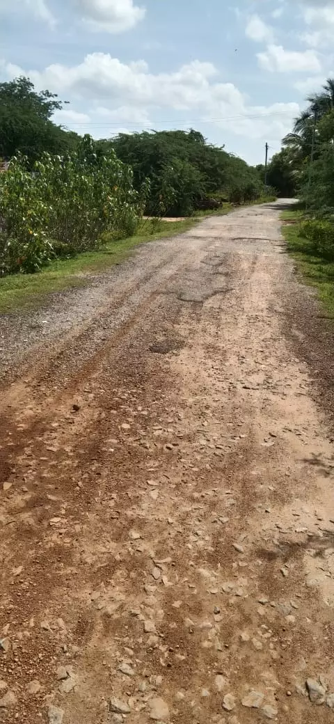 குண்டும், குழியுமான சாலை