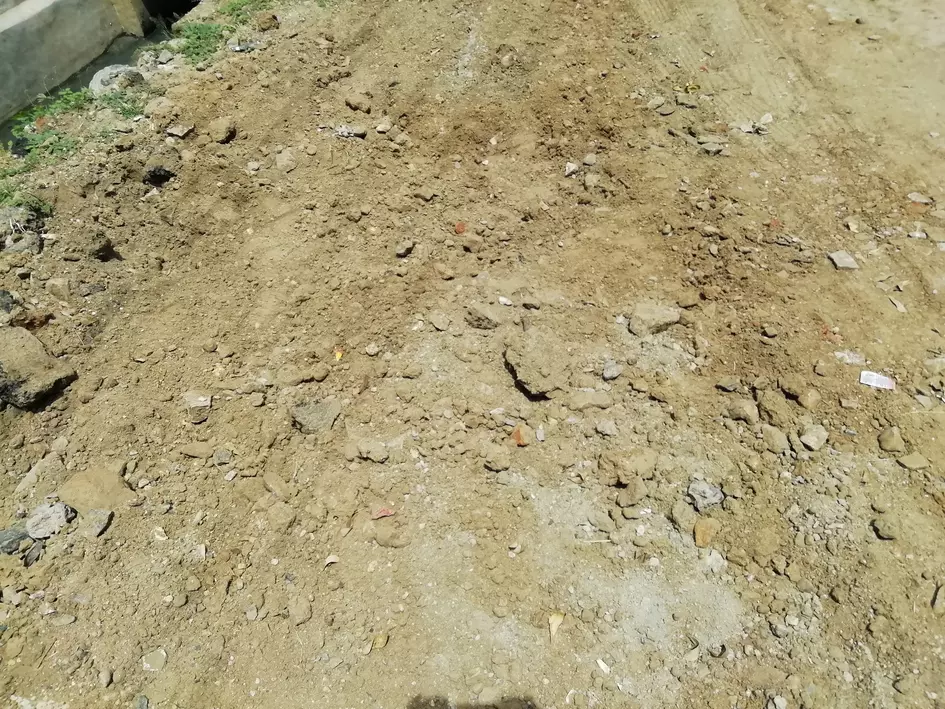 பாராட்டு பாராட்டு