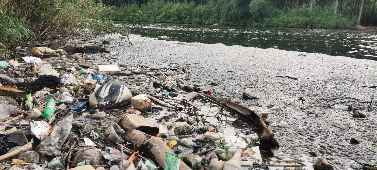 ஆற்றில் கலக்கும் கழிவு நீரால் நோய் பரவும் அபாயம் ஆற்றில் கலக்கும் கழிவு நீரால் நோய் பரவும் அபாயம்