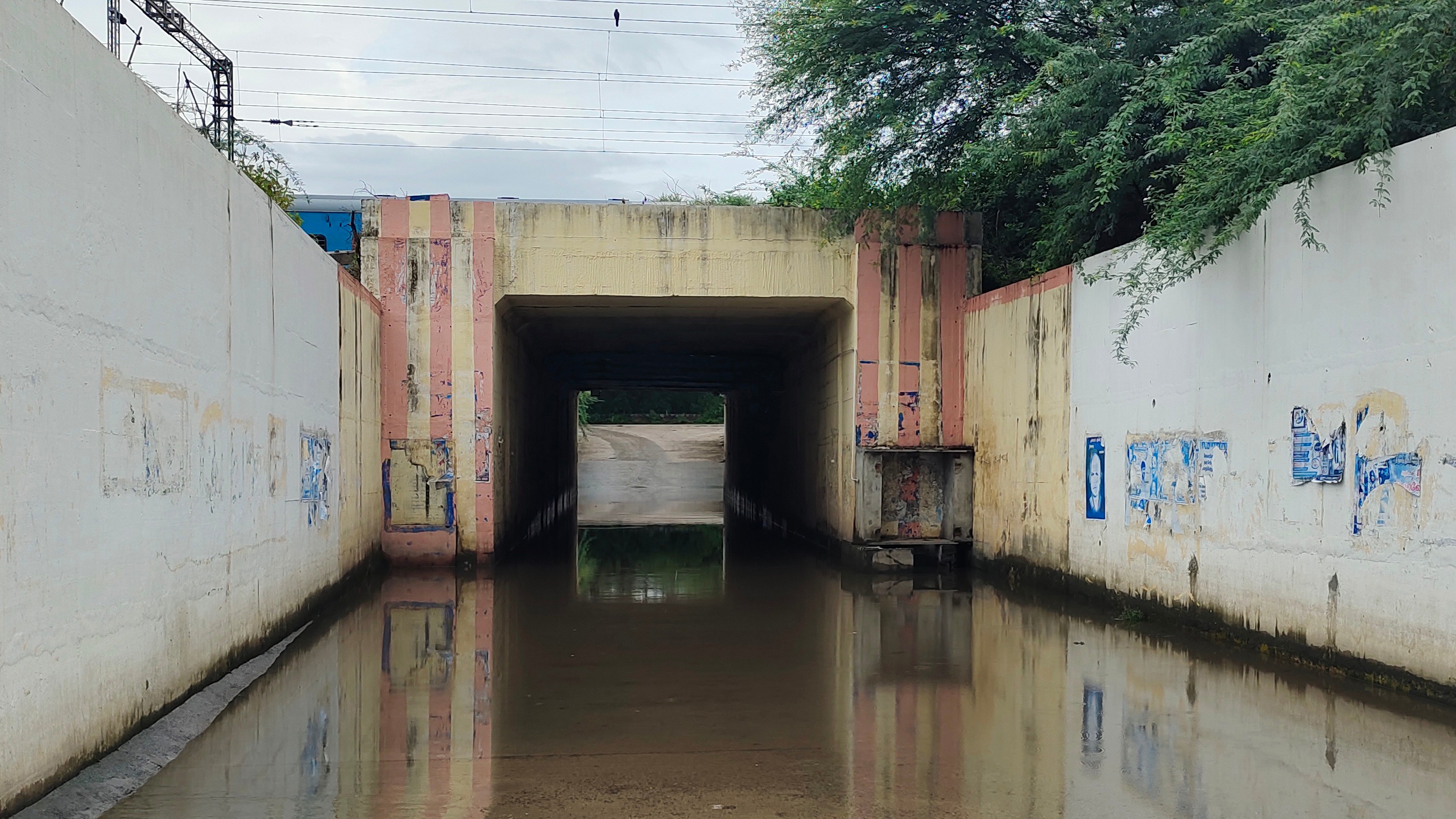 தேங்கி நிற்கும் தண்ணீரை அகற்றவேண்டும் தேங்கி நிற்கும் தண்ணீரை அகற்றவேண்டும்