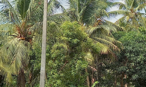 தினத்தந்தி புகார் பெட்டிக்கு நன்றி