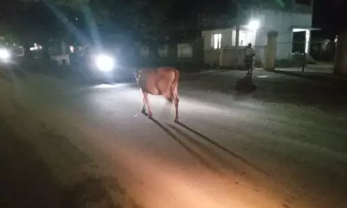 போக்குவரத்திற்கு இடையூறு போக்குவரத்திற்கு இடையூறு