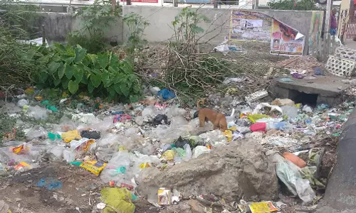 கழிவுநீர் வாய்காலில் கொட்டப்படும் குப்பைகள்