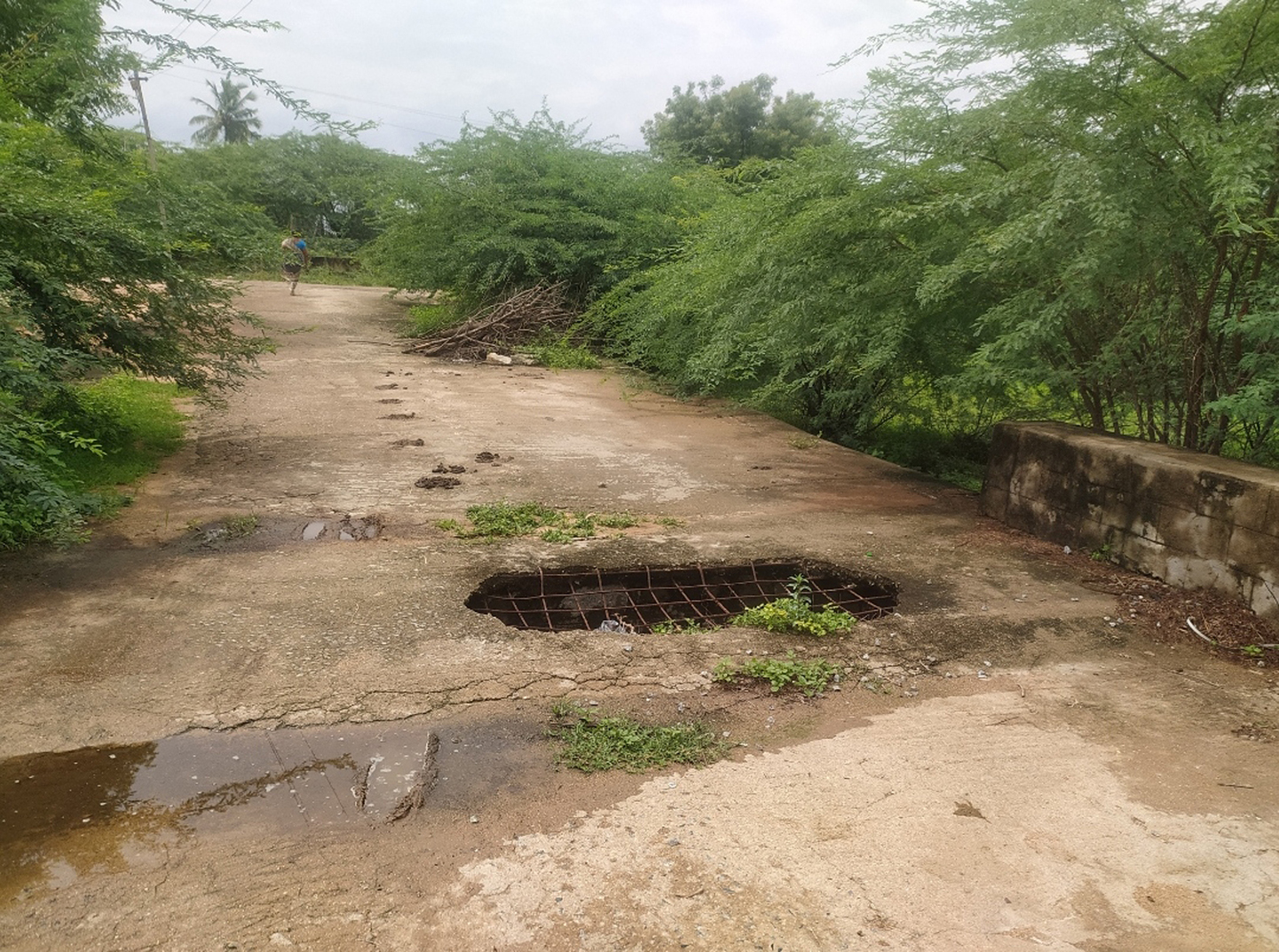 ஆபத்தான நிலையில் பாலம் ஆபத்தான நிலையில் பாலம்