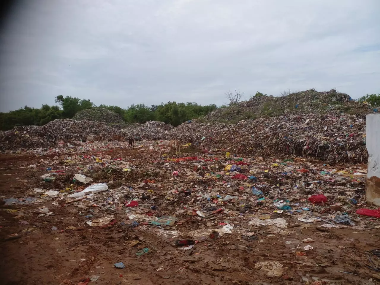 குப்பை குவியல்