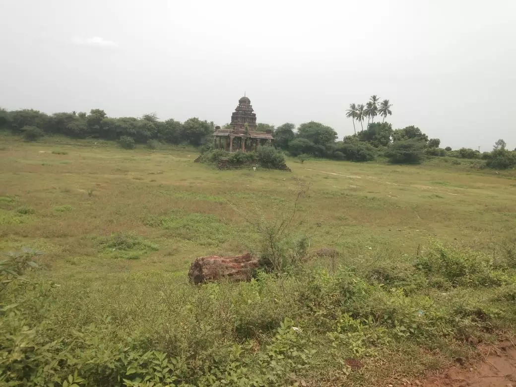 நடவடிக்கை எடுக்கப்படுமா? நடவடிக்கை எடுக்கப்படுமா?