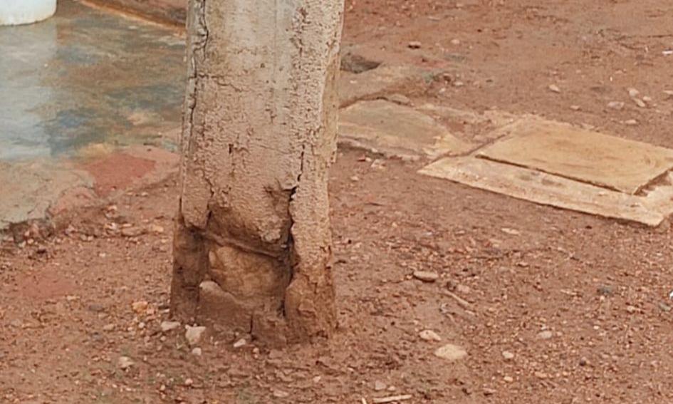 சேதம் அடைந்த மின்கம்பம்