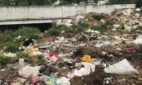 சுகாதார சீர்கேடு சுகாதார சீர்கேடு