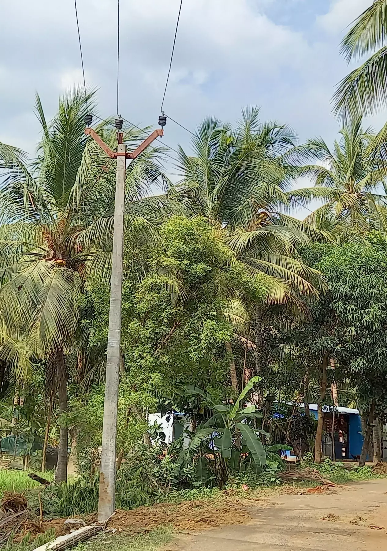 தினத்தந்தி புகார் பெட்டிக்கு நன்றி