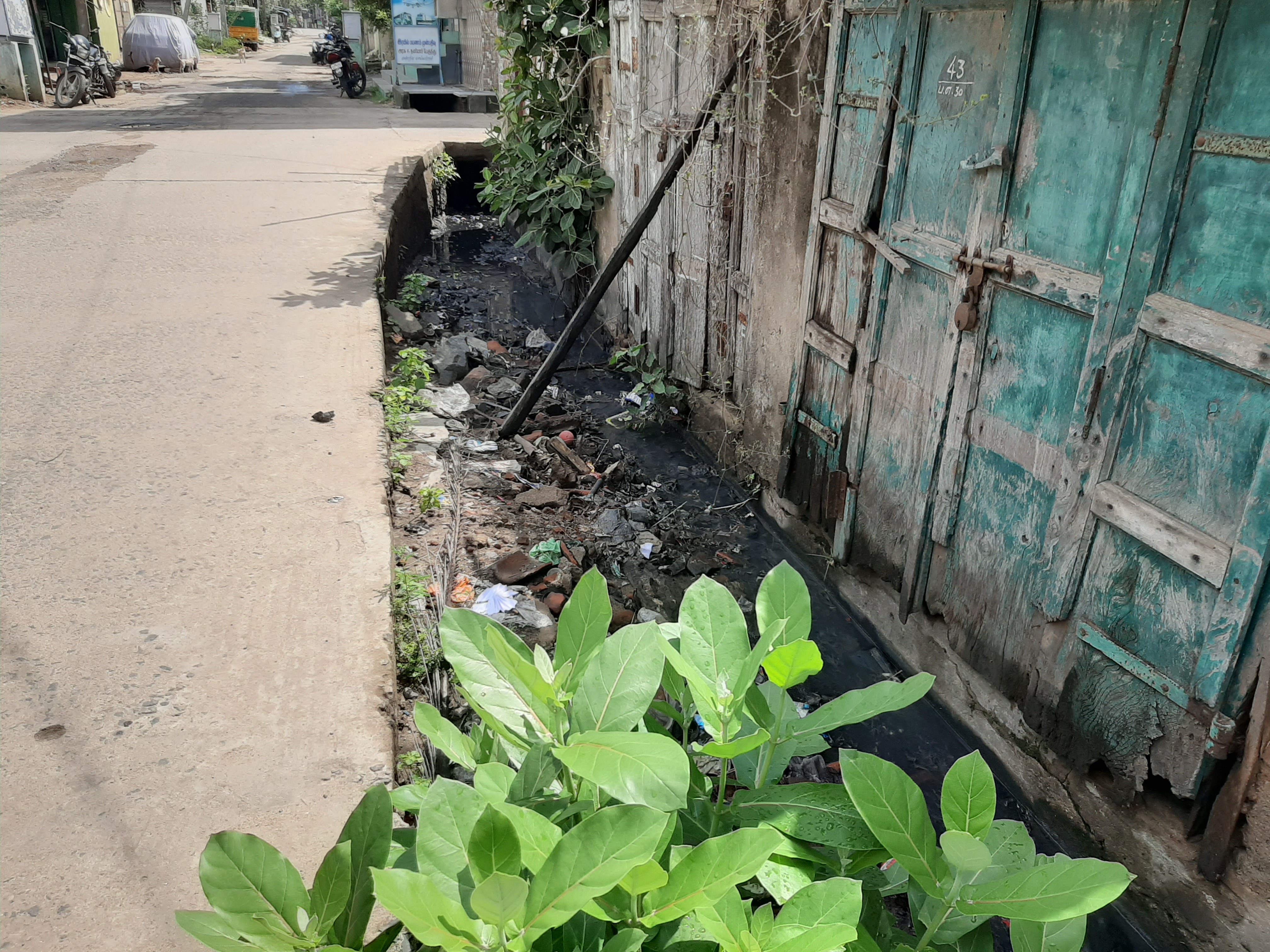 கழிவுநீர் கால்வாய் தூர்வாரப்படுமா? கழிவுநீர் கால்வாய் தூர்வாரப்படுமா?