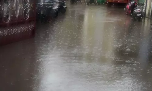 மழை நீர் தேங்கும் அவலம் மழை நீர் தேங்கும் அவலம்