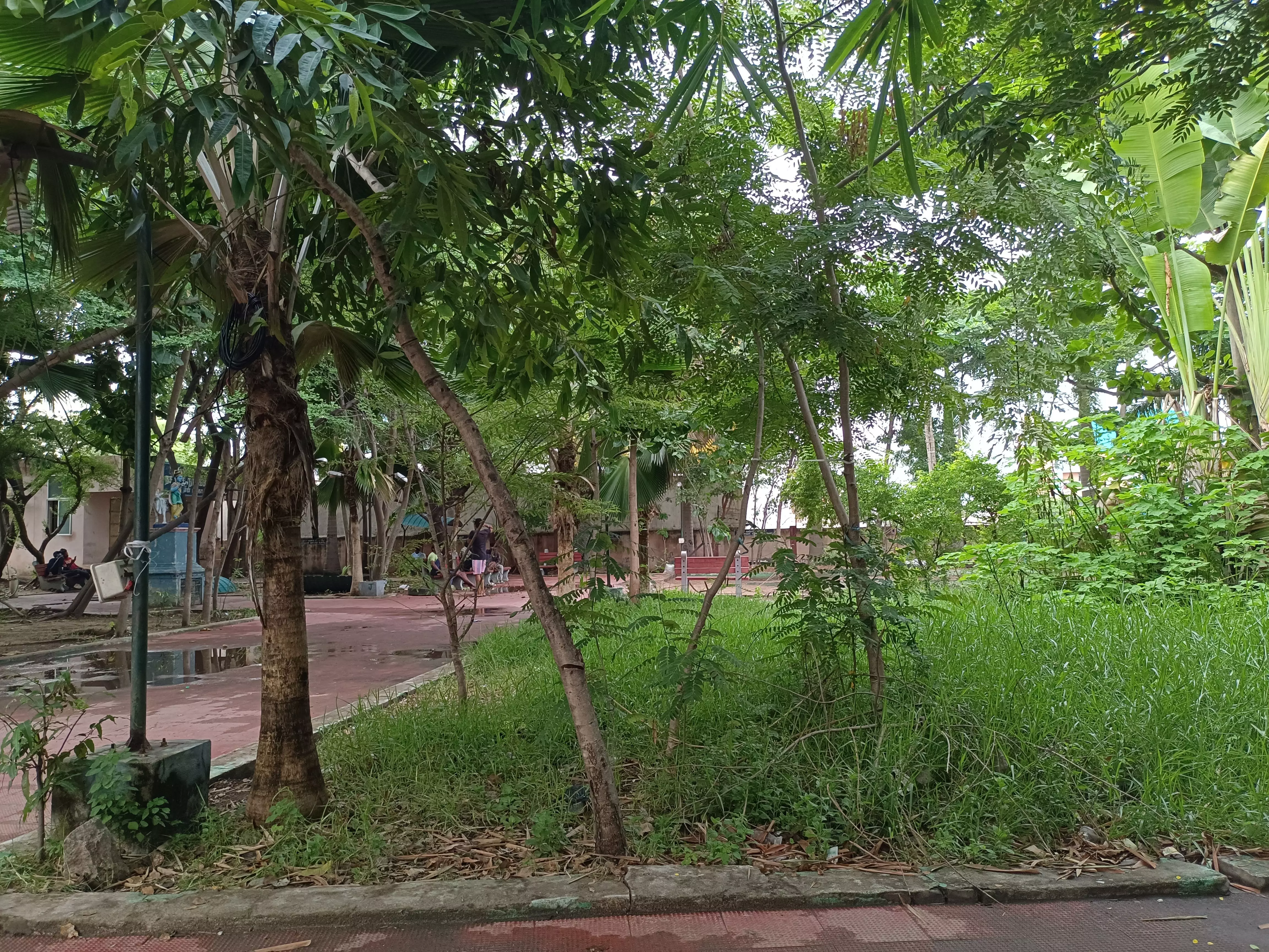 பூங்காைவ பராமரிக்க ேவண்டும் பூங்காைவ பராமரிக்க ேவண்டும்