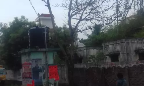 மரம் அகற்றப்படுமா?