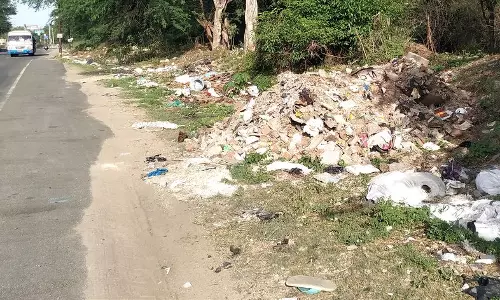 சாலையோரம் கொட்டப்படும் இறைச்சி கழிவுகள் சாலையோரம் கொட்டப்படும் இறைச்சி கழிவுகள்