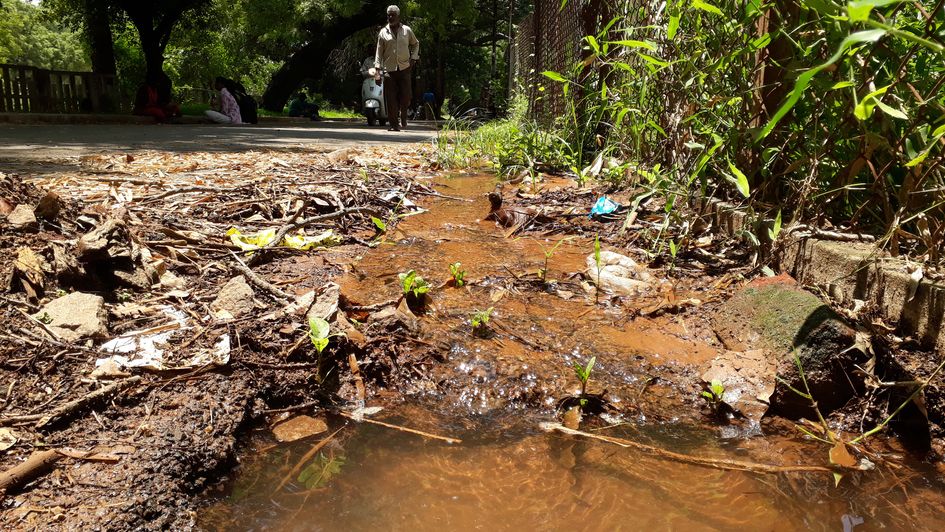 குடிநீர் குழாய் உடைப்பு