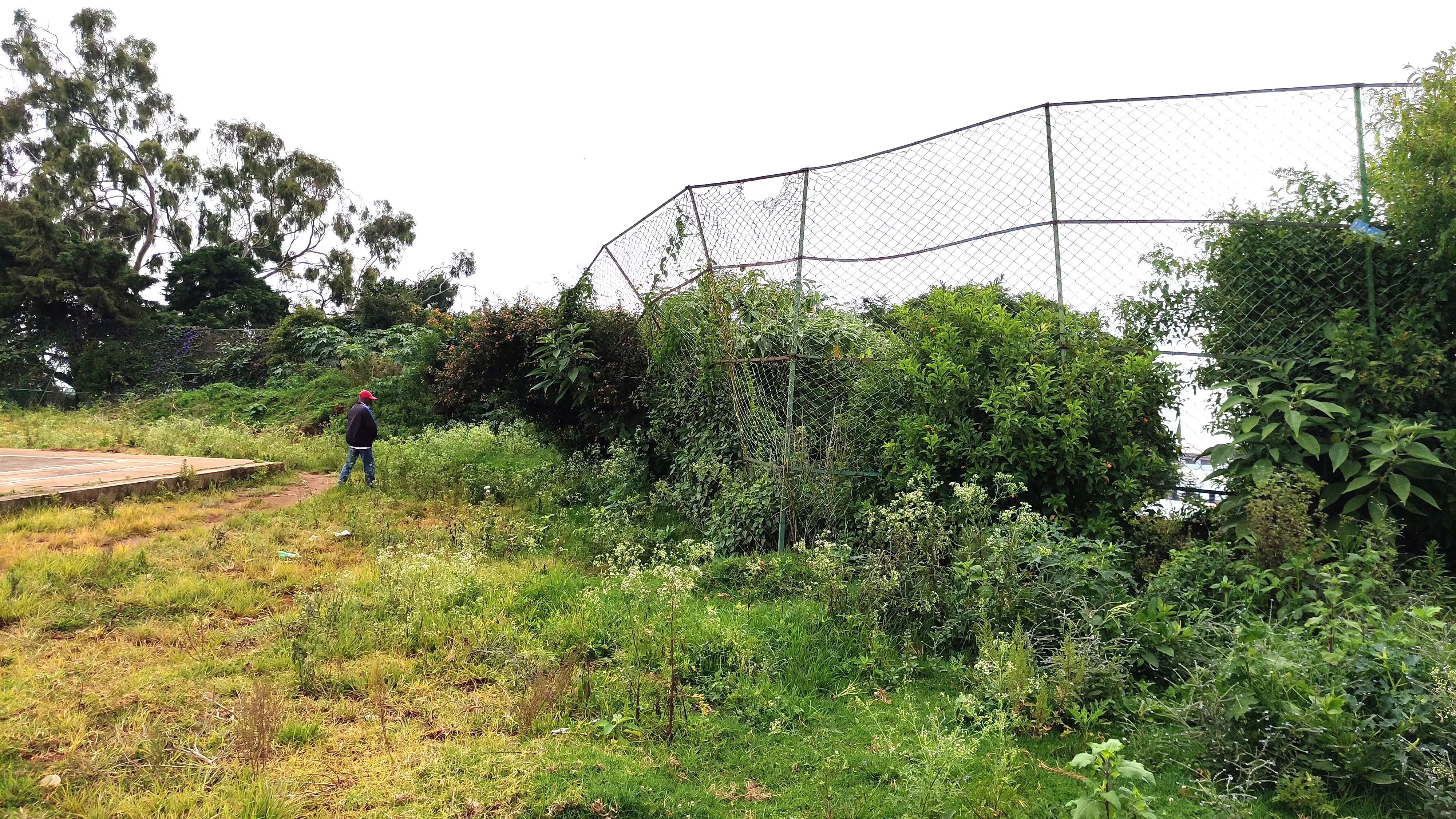 வனவிலங்குகளின் புகலிடம்