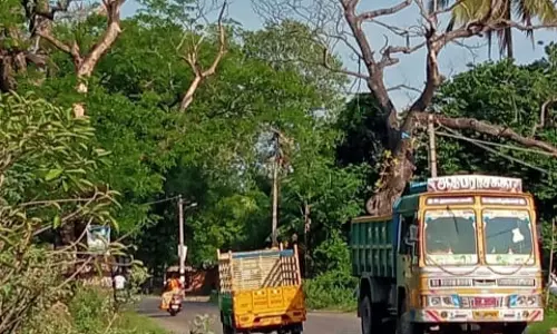 மரக்கிளைகளால் அபாயம் மரக்கிளைகளால் அபாயம்