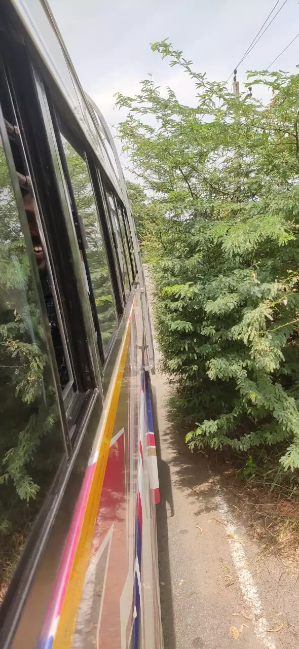 கருவேல மரங்களால் காயம் அடையும் மக்கள்