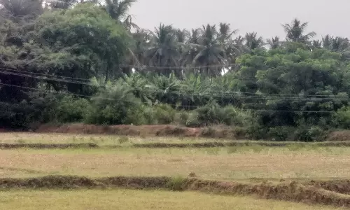 தாழ்வாக செல்லும் மின்கம்பிகள்