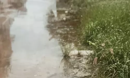 கழிவுநீர் கால்வாயை தூர்வார வேண்டும்