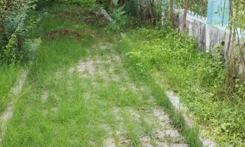 பூங்காவை சுத்தம் செய்ய வேண்டும் பூங்காவை சுத்தம் செய்ய வேண்டும்