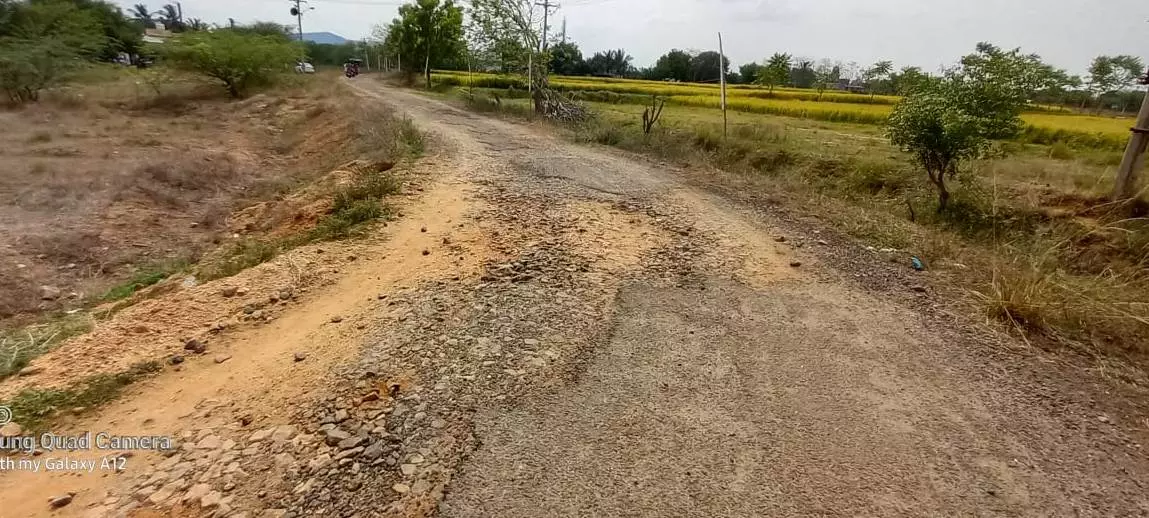 குண்டும், குழியுமான சாலை