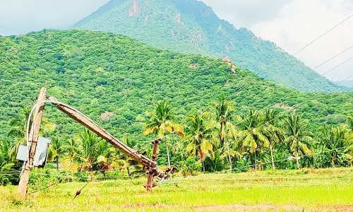 முறிந்து விழுந்த மின்கம்பம்