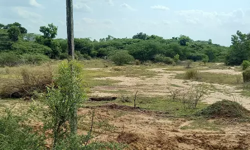 நீர்நிலைகள் ஆக்கிரமிப்பு